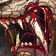 Bloodshed
