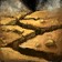 Rumbling Earth